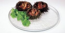Vajilla Colección Caracalla